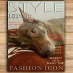 Patrick Baur - Instagram Profile Picture of Patrick Baur (@p83.6) on Instagram