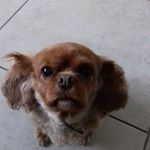 Profile Picture of Damien McBride (@damien.mcbride.3950) on Instagram