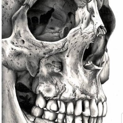 Profile Picture of Scott German (@ScottGerman22) on Twitter