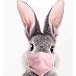 Profile Picture of Jolene_funky (@jolene_dewet) on Instagram