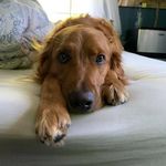 Profile Picture of Robert Halbig (@robhal221) on Instagram