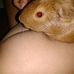 Profile Picture of Roselynn Phillips (@roselynn.phillips.90) on Facebook