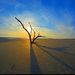 Profile Picture of Craig Wrenn (@craigwrenn) on Pinterest