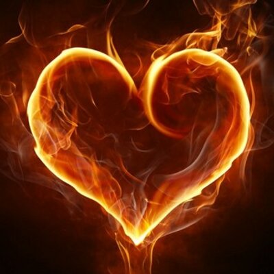 Profile Picture of Sandra Barry (@mytwoboxers) on Twitter