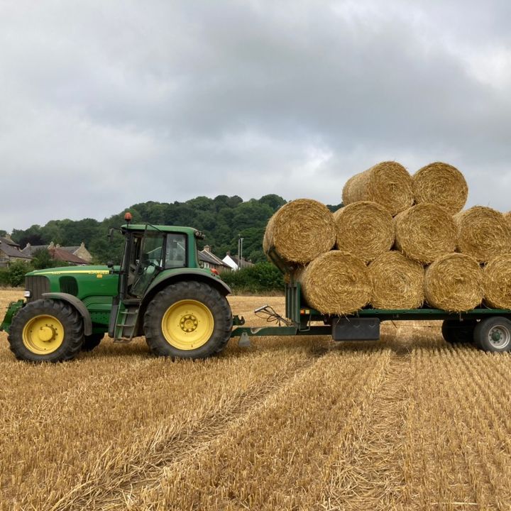 Profile Picture of William Soulsby798 (@will_soulsby) on Tiktok