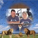 Profile Picture of Phyllis Casey (@mpcasey1) on Instagram