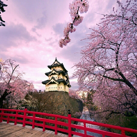 Profile Picture of Mandy Camelo (@kauaigirl_2016) on Poshmark