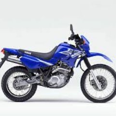 Profile Picture of DANIEL CAMEJO (@El_Pantanero) on Twitter