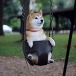 Profile Picture of Thomas (@bralleput) on Instagram