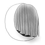 Profile Picture of 𝗜𝗿𝗶𝘀 𝗫𝘂 (@irisxu_storeroom) on Instagram