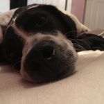 Profile Picture of Michael Pizzuti (@mikey_the_editor) on Instagram