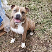 Profile Picture of Jason Wofford (@jasonwofford6847) on Youtube