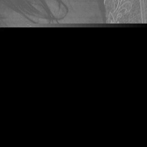 Profile Picture of Ian Cristobal (@402189721) on Myspace