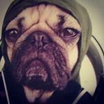 Profile Picture of Jean Roland (@ro.land1) on Instagram