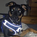 Profile Picture of andrewlityy (@andrewpalmieri33028392) on Instagram