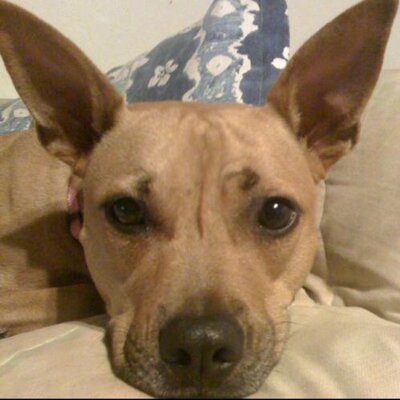 Profile Picture of Aaron_overton (@aaron_overton) on Twitter