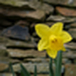 Matthew Warrington - Flickr Profile Picture of Matthew Warrington (@matykatthew) on Flickr