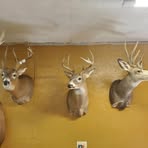 Profile Picture of Gary Rennaker (@grennaker) on Facebook