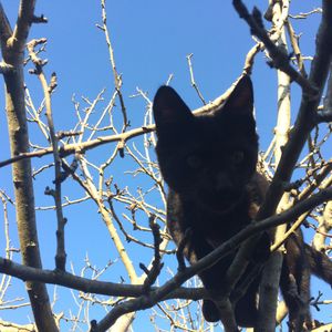 Summer Scott - Myspace Profile Picture of Summer Scott (@female124) on Myspace