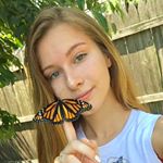 Profile Picture of Hayley Gibbs (@monarchs.ct) on Instagram