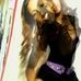 Profile Picture of Sandra Fredricks (@sandra.fredricks.1) on Facebook