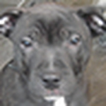 Profile Picture of Surendipity (@surendipity) on Flickr