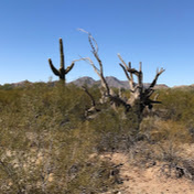 Profile Picture of Joe Daigle (@TheBronypower) on Youtube