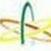Profile Picture of Satish Chand (@satishchand9185) on Twitter