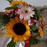 Profile Picture of anita maria palmgren (@palmhre) on Instagram