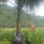 Profile Picture of Dichon Oksel Ornem (@dichonoksel.ornem) on Facebook