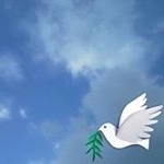 Profile Picture of Shirley Simms (@shirley.simms.7) on Instagram