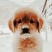 Profile Picture of ✰MiaShires✰ (@BESTIEM1AA) on Pinterest