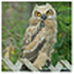 Profile Picture of Thomas Claydon Photography (@thomas claydon photography) on Flickr