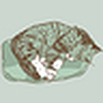 Profile Picture of rosie packer (@Alice Rose Packer 105-787-0167) on Flickr