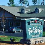 Profile Picture of Stoney Creek Pet Lodge & Rehab (@stoneycreekpetlodge) on Instagram