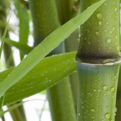 Chris Merlin - Twitter Profile Picture of Chris Merlin (@chrismerlin68) on Twitter