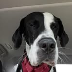 Profile Picture of Eli Fleming (@eli.fleming.420913) on Facebook