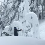 Profile Picture of Andrew Carlisle (@randy_gnarlisle) on Instagram