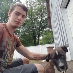 Bliztredz - Tiktok Profile Picture of Bliztredz (@stevenmessier) on Tiktok