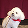 Profile Picture of Dorothy Decker (@dorothy_decker2000) on Flickr