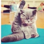 Profile Picture of Eva Wozniak (@eeeeva13_) on Instagram