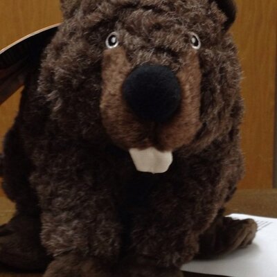 Profile Picture of Terry Burr (@Terry_Burr) on Twitter