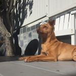 Profile Picture of George Stanly (@george.stanley.17) on Instagram