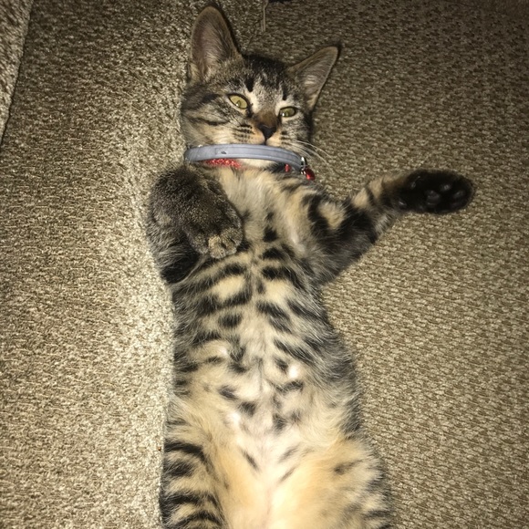 Tyson Villarante - Poshmark Profile Picture of Tyson Villarante (@tysonvillarante) on Poshmark