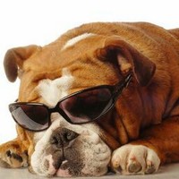 Profile Picture of Ricardo Vides (@ricardo-vides) on Quora