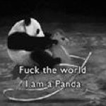 Profile Picture of Daniel Bolívar (@danielbe) on Instagram