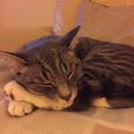 Profile Picture of Allan Simpson (@allansimpson1) on Instagram