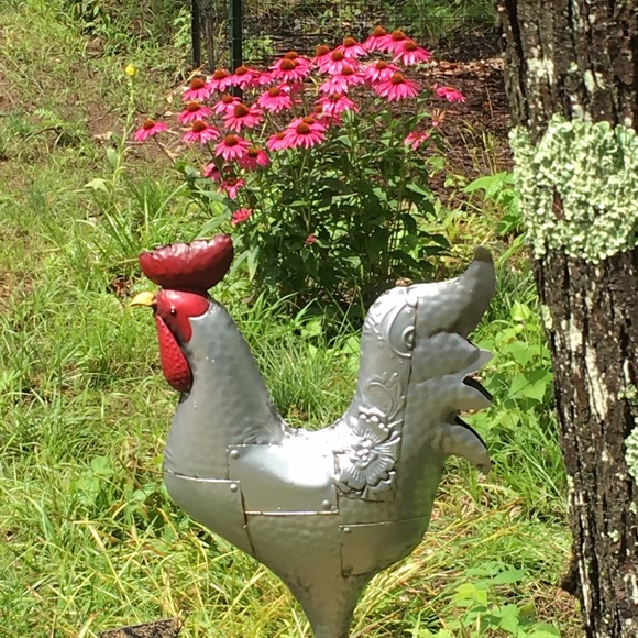 Profile Picture of Janice Karlmann (@j925826l) on Poshmark