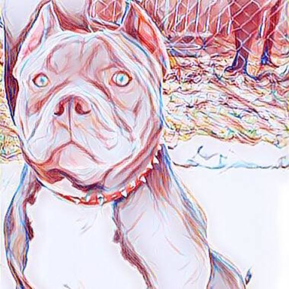 Profile Picture of Jaquell Sudler (@mitterman) on Poshmark