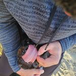 Profile Picture of Jake Mason (@j_r_nosam) on Instagram